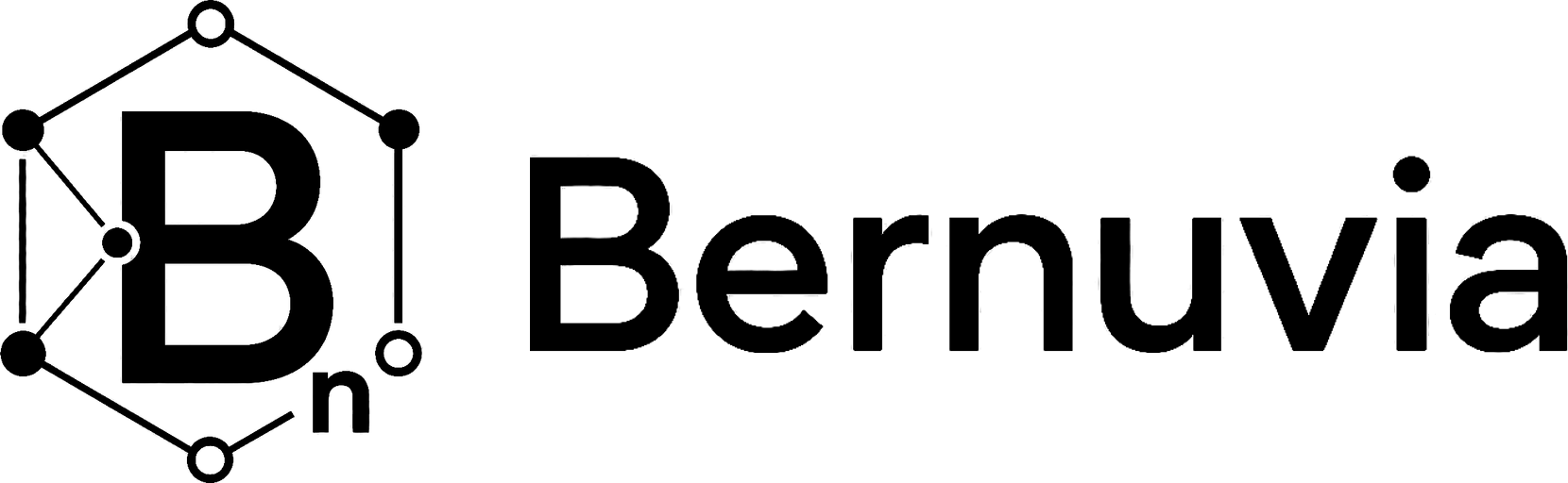 Horizontal logo Bernuvia · Black