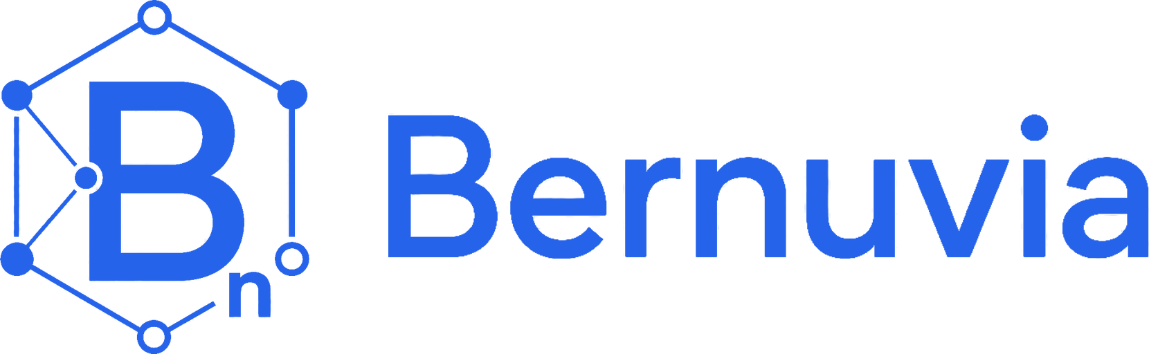 Horizontal logo Bernuvia · Blue